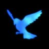 blue bird profil fotoğrafı