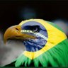 Raqueira's profile picture