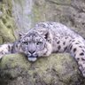 Фото профиля Maksym Proskurin