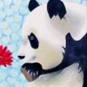 ぴちゃん🐤🐼 profil fotoğrafı