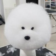 soup's profile picture