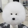 soup's profile picture