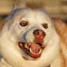 ちなつ🗣️'s profile picture