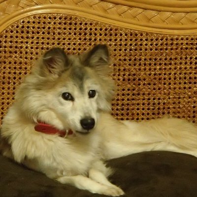 sinran4717's profile picture