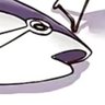 Profilbild von rally yang