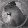 DG0097's profile picture