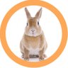 なさ🐰FIRE準備中ワーママ's profile picture