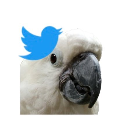 MAX_BEN_P's profile picture