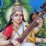 Фото профиля Shivam Khandelwal