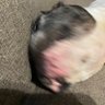 まー profil fotoğrafı