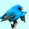 Profilbild von Alan H○WARD