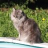 Profilbild von Jacobus Aschbach