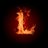 CARPENTER Lulu's profile picture