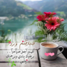 قبس واحد 的头像