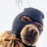 KLW profil fotoğrafı