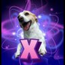 Sasha the Wonder Dog 🇺🇸☘️ 的头像