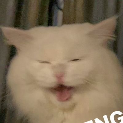 beka's profile picture