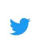 青い鳥's profile picture