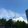 duamh 的头像