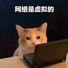 黄杜's profile picture