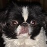 Tracey's profile picture