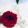 شمــوع..|✨☁️'s profile picture