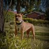 niko's profile picture
