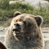 Profilbild von Hoa Daik
