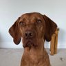 Gavin's profile picture