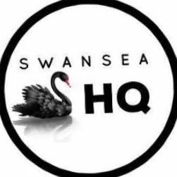HqSwansea's profile picture