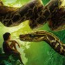 Фото профиля Anaconda