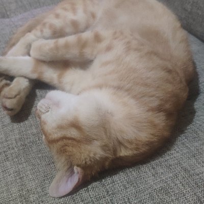 adityanurman3's profile picture