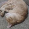 Ditya's profile picture
