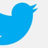 Nikolas 🐦🐦 . 🇧🇷 🇺🇲's profile picture