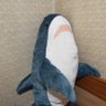 Profilbild von 鯊魚夾克