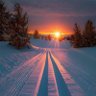 Фото профиля Grant Lindberg
