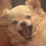 Jenn's profile picture