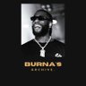 Profilbild von Burna's Archive.