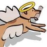 Joseph Zyble's profile picture