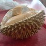 Durian Palembang 的头像