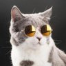 Profilbild von Nxs