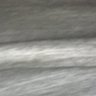 dicktop's profile picture