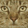 bbigman89 profil fotoğrafı