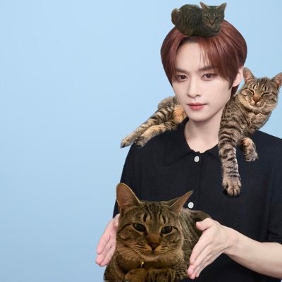 malbokdiet's profile picture