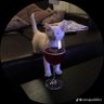 NNava profil fotoğrafı