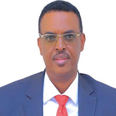 AliHassanMoham's profile picture