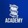 Birmingham City Academy profil fotoğrafı