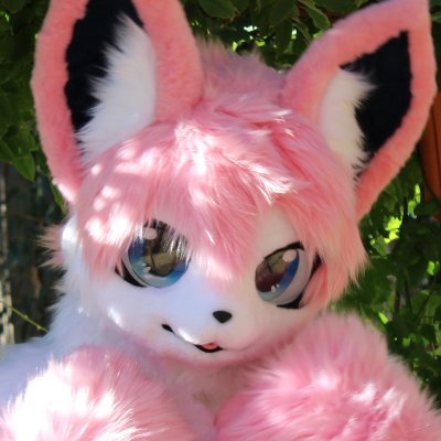 Caeles the Sylveon's profile picture