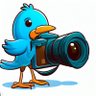 LightsAndLenses's profile picture