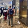 JB Yao profil fotoğrafı